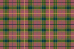 checks patterns