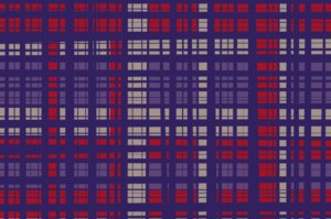 checks patterns