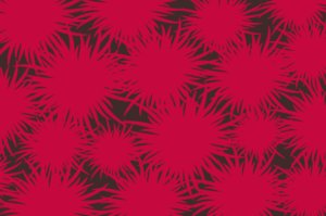 flowers patterns