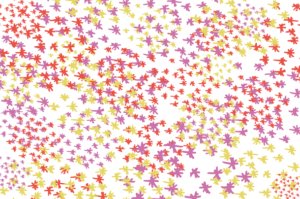 flowers patterns