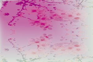 flowers patterns