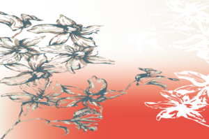 flowers patterns