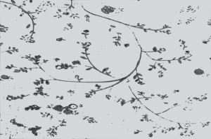 greenery patterns