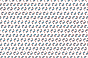 paisleys patterns
